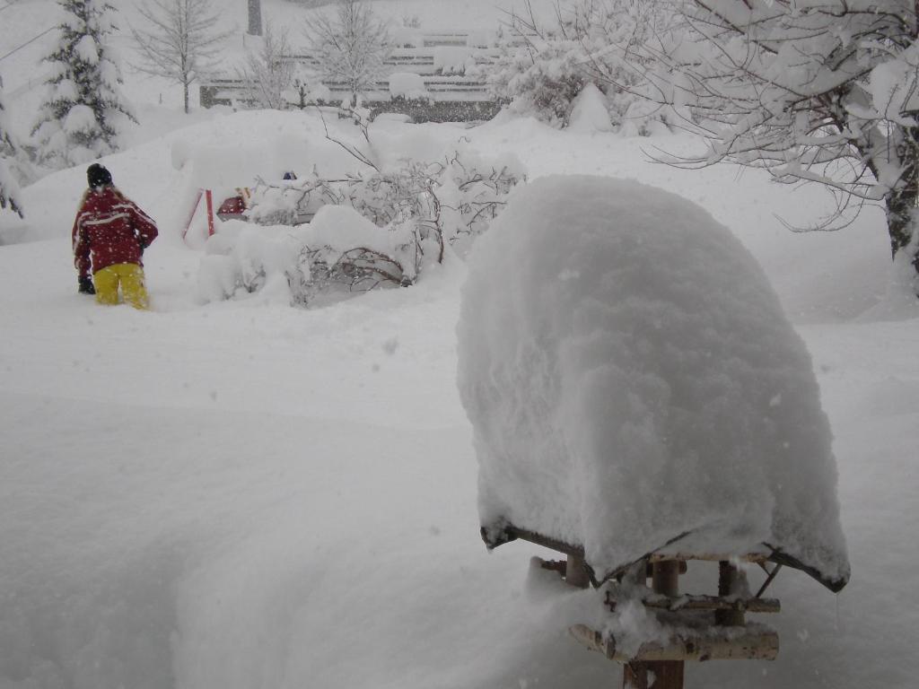 Appartements Alpenland レルモース エクステリア 写真